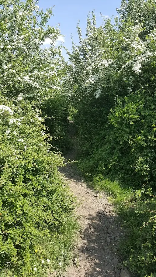 Onze werkzaamheden